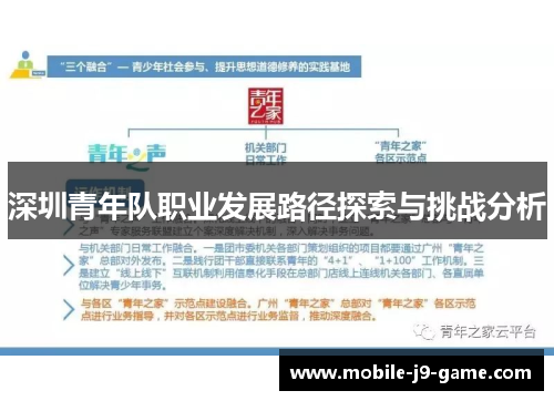 深圳青年队职业发展路径探索与挑战分析 深圳青年队职业发展路径探索与挑战分析