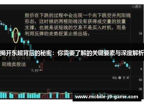 揭开东超背后的秘密：你需要了解的关键要素与深度解析