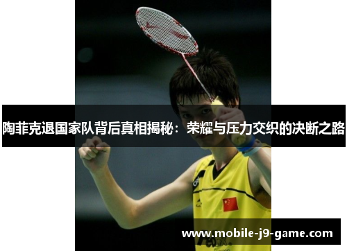 陶菲克退国家队背后真相揭秘:荣耀与压力交织的决断之路 陶菲克退国家队背后真相揭秘:荣耀与压力交织的决断之路