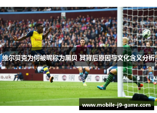 维尔贝克为何被昵称为黑贝 其背后原因与文化含义分析